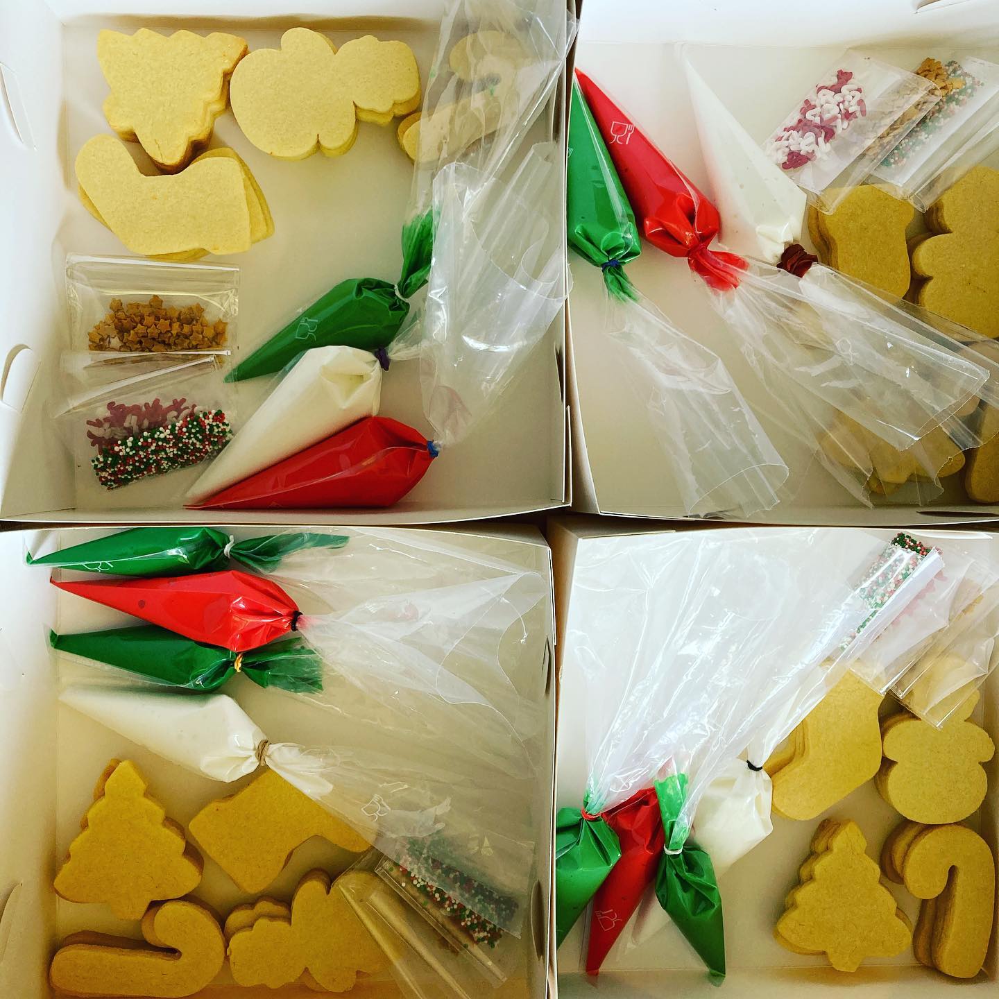 Christmas Cookies - DIY Kit
