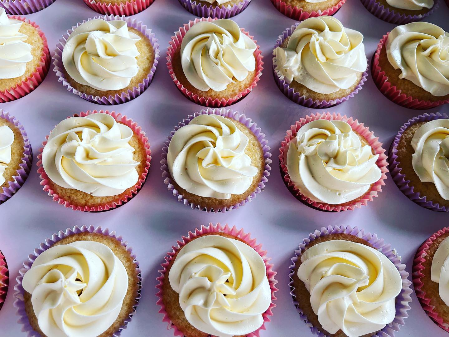 Swirl Cupcakes