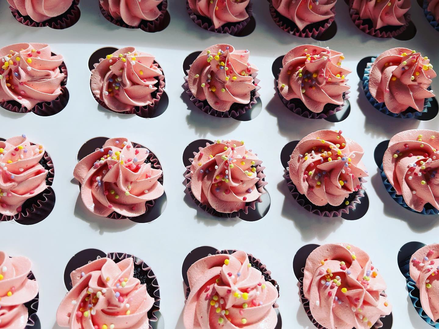 Swirl Cupcakes