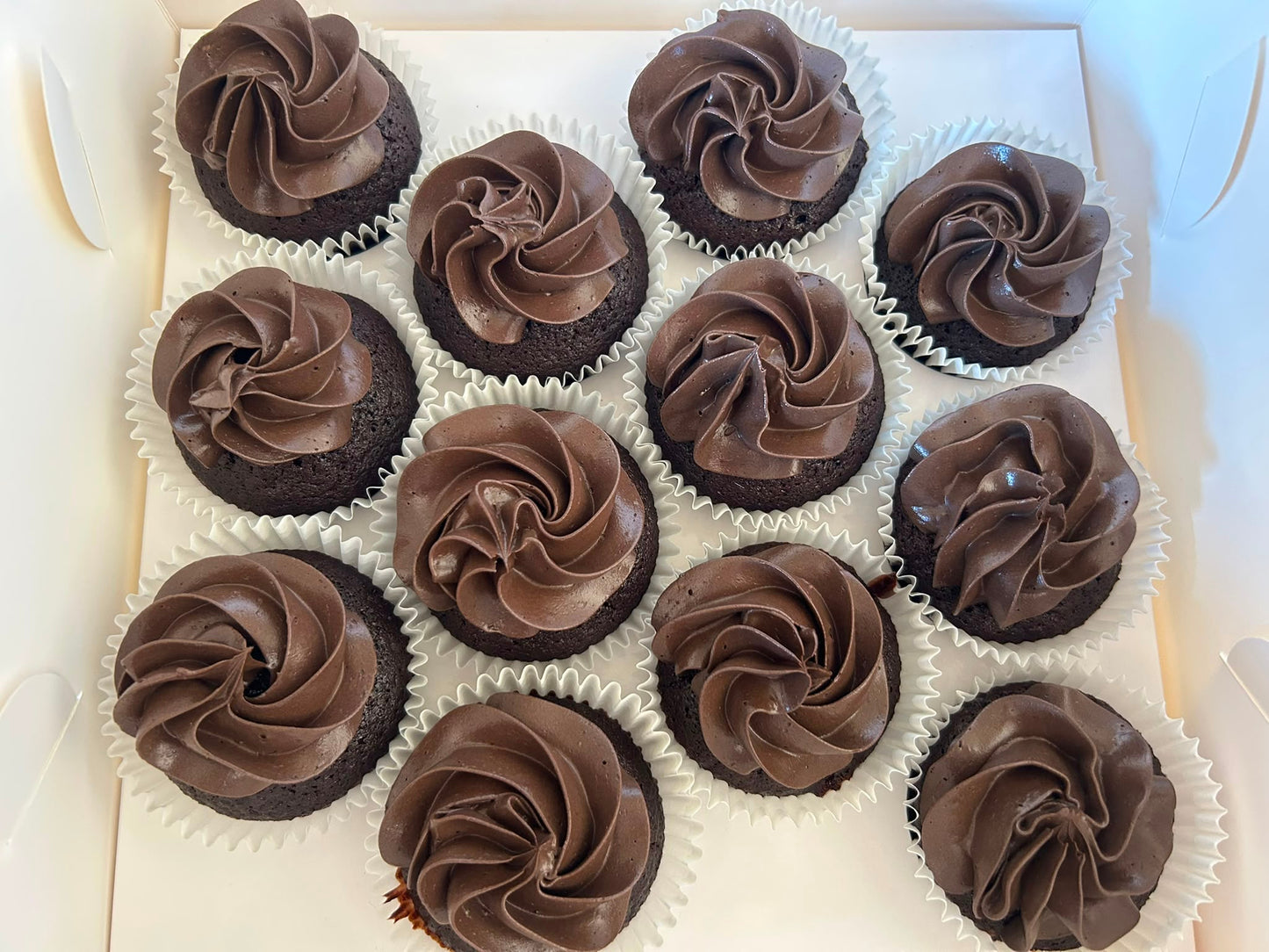 Chocolate Cupcakes with Chocolate Frosting